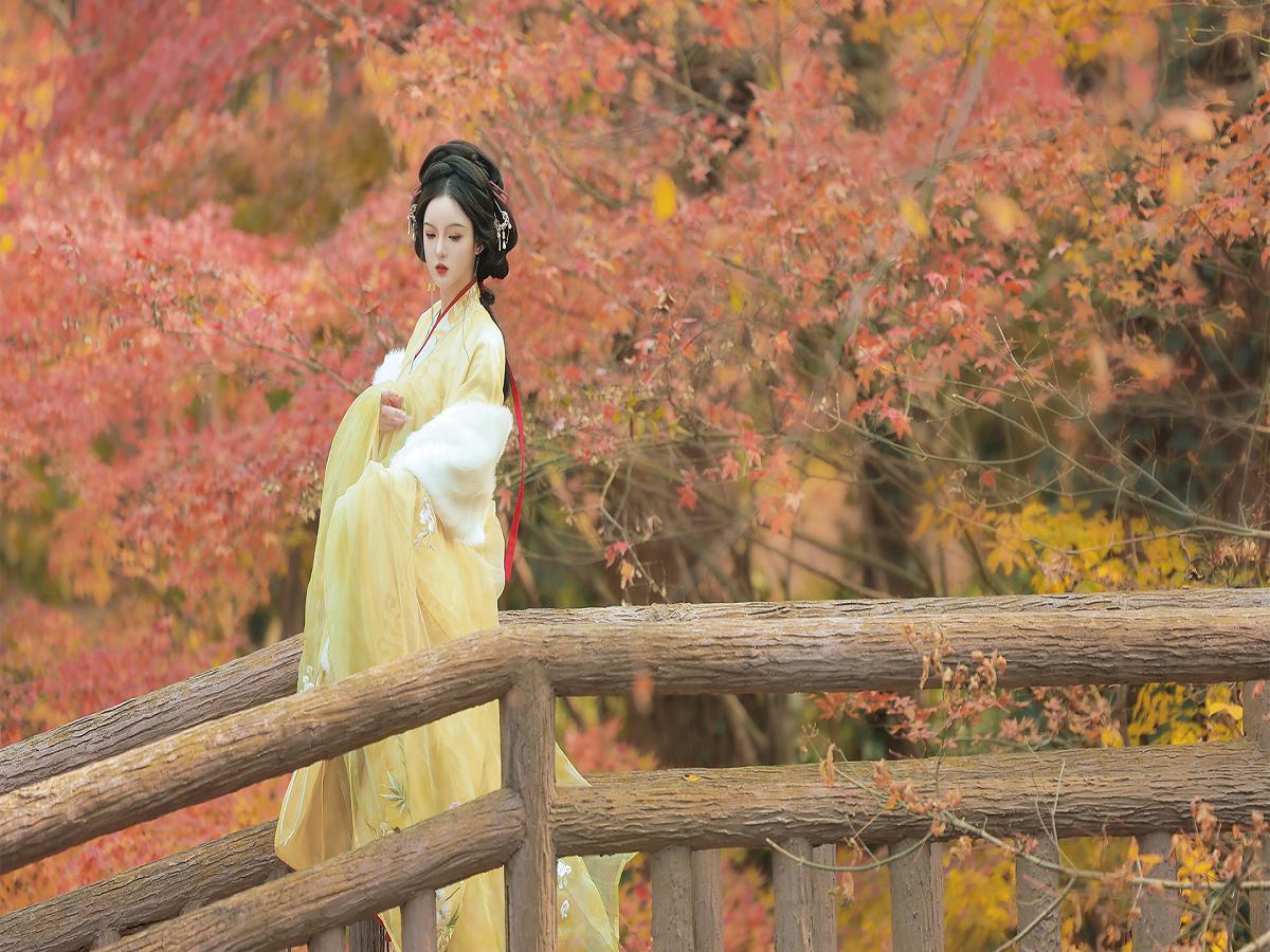 星空影视app官方免费下载，开启观影新境界